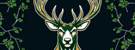 Milwaukee Bucks Basketball Tickets Online