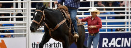 Cheap National Finals Rodeo Tickets Online